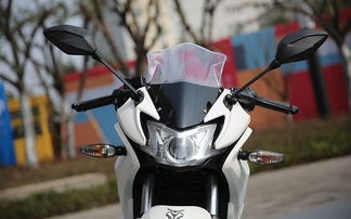 國(guó)產(chǎn)仿賽等于地平線(xiàn) 你家地平線(xiàn)這么牛x