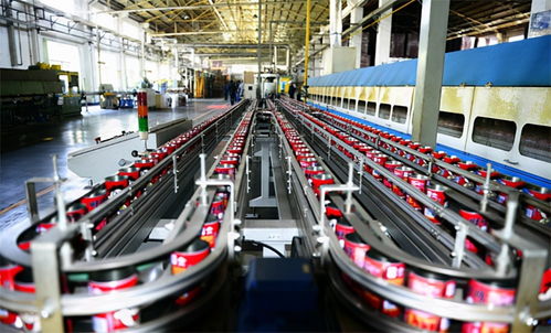 食品廠生物質蒸汽鍋爐在哪里買 生物質蒸汽鍋爐有什么特點