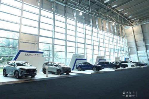 地平線發(fā)布新產品,用 芯 為自動駕駛打地基