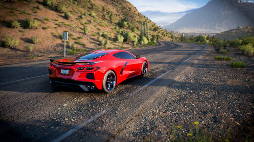 地平線5 萌新拍照